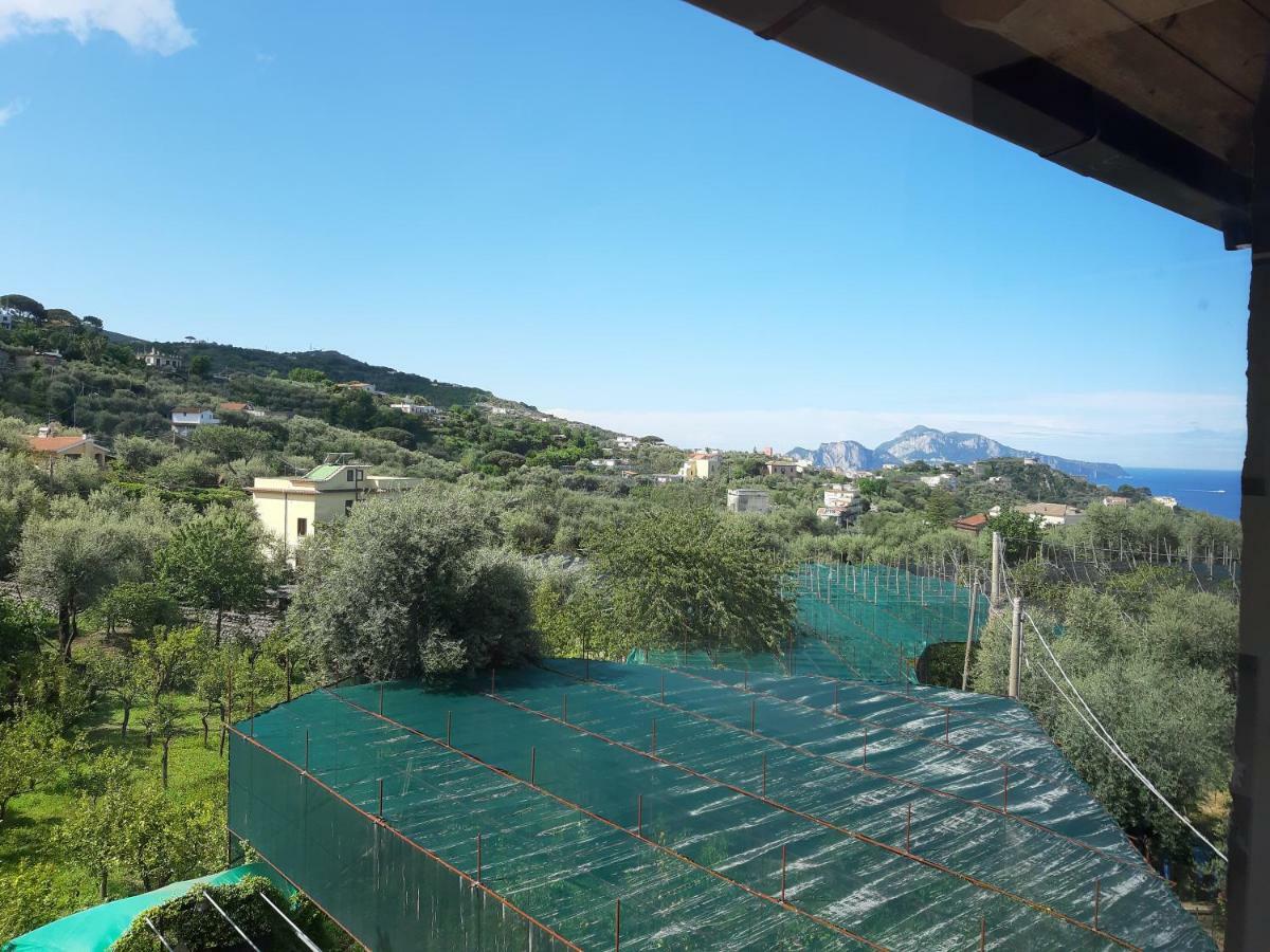 La Lobra Dependance Villa Massa Lubrense Buitenkant foto